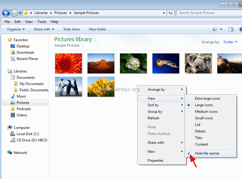 Internet Explorer Desktop Icon Missing Vista