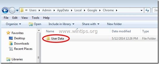 chrome_user_data_profile_folder