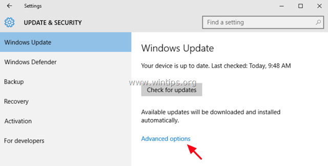 windows 10 update options