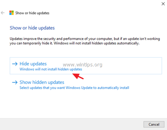 hide updates windows 10