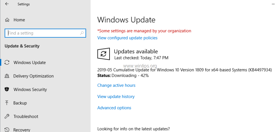 skridtlængde Garderobe Ødelæggelse FIX: Windows 10 Update 1903 failed to install (Solved) - wintips.org -  Windows Tips & How-tos