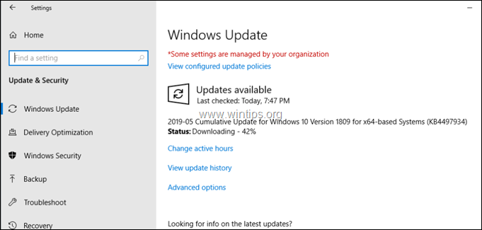 FIX: Windows 10 Update 1903 konnte nicht installiert werden (Gelöst)
