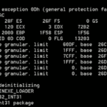 FIX: DOS/4G error 2001 exception 0Dh on Windows 10 (Solved)
