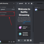 How To Stream Netflix On Discord on Windows, Mac, Android and iOS devices.