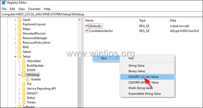 Install Windows 11 Without TPM 2.0