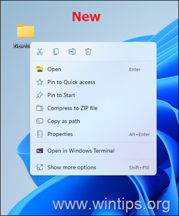 Windows 11 Right-click the context menu