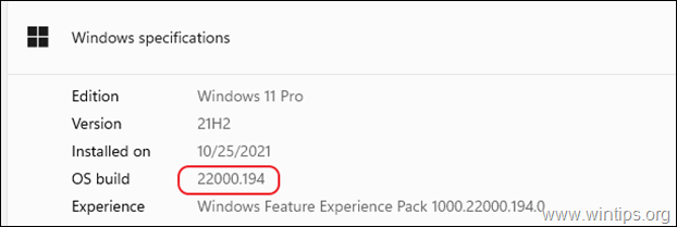 View Windows 11 Build