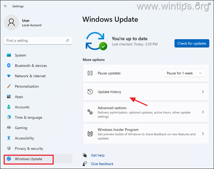 How to disable updates in Windows 11.