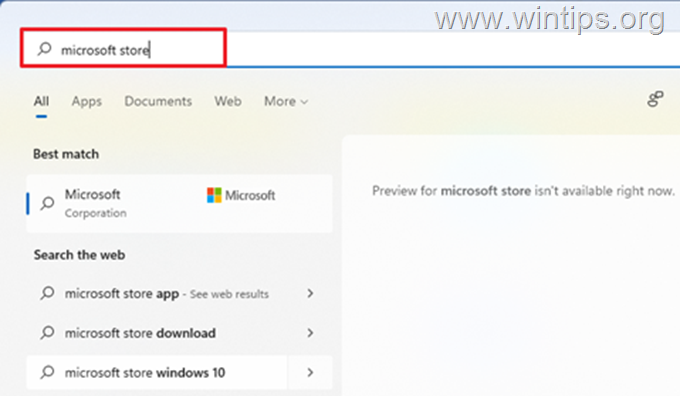 FIX Microsoft Store missing on Windows 11/10