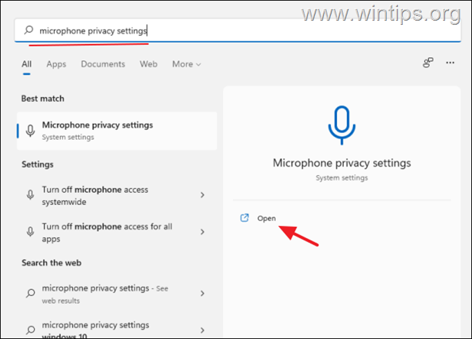 Enable Microphone Access Windows 11