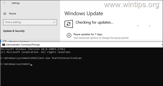 Check the updates command
