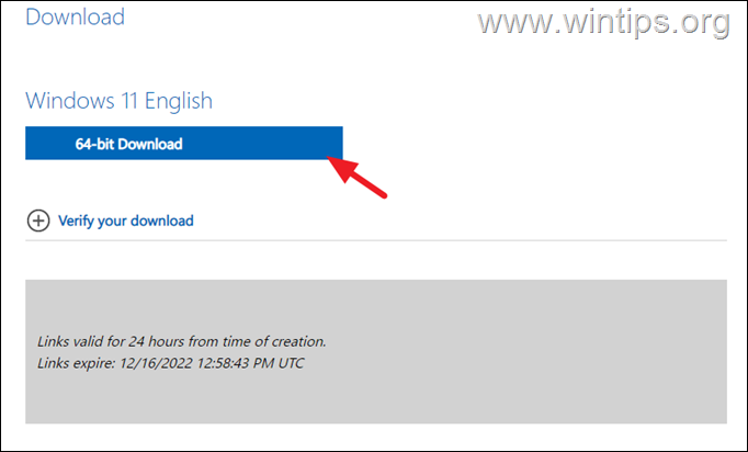 Download Windows 11 ISO