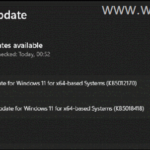 FIX: 0x800f0922 Windows 11 Update Error.