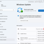 How to Disable Automatic Updates on Windows 11.