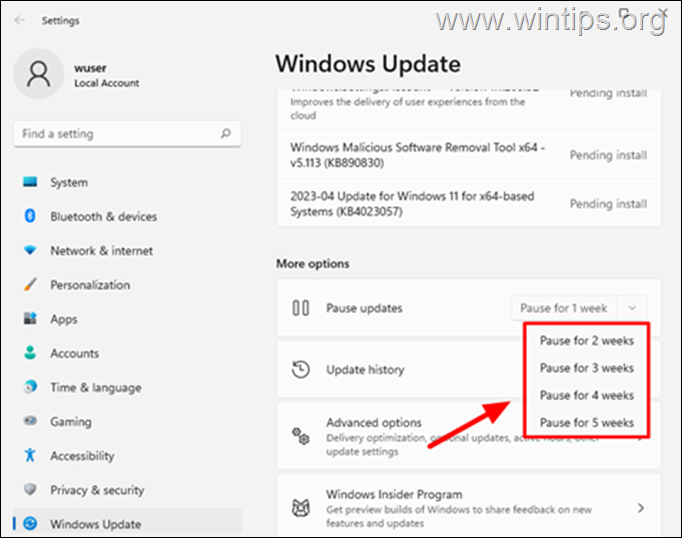 How to Pause Updates in Windows 11