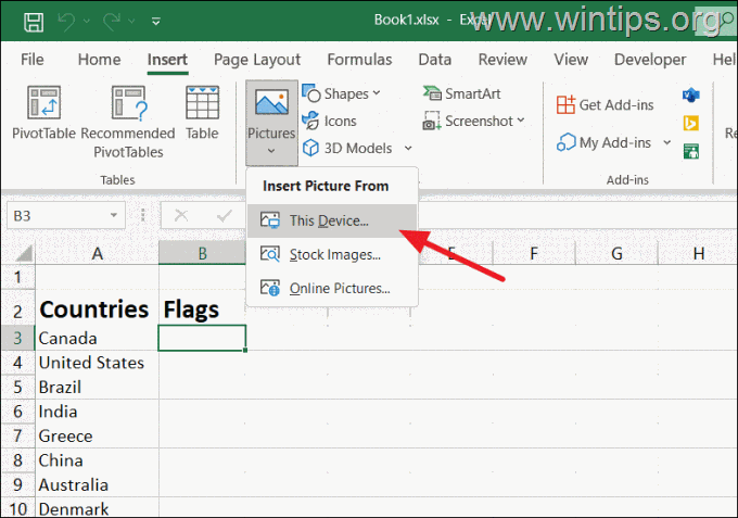 How to Insert a Picture From This Device in Excel.
