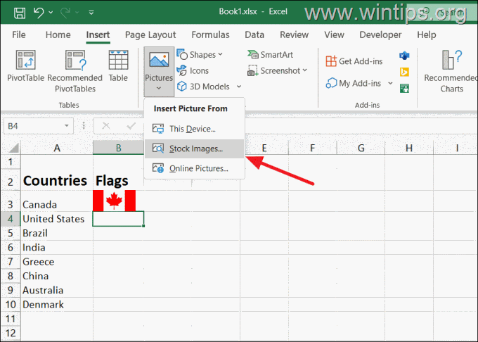 How to Insert a Picture From Stock Images in Excel.