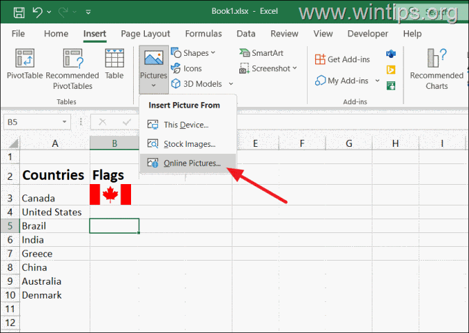 How to Insert an Online Picture in Excel.