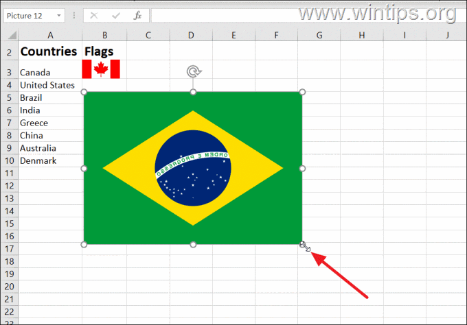 How to Resize Image in Excel
