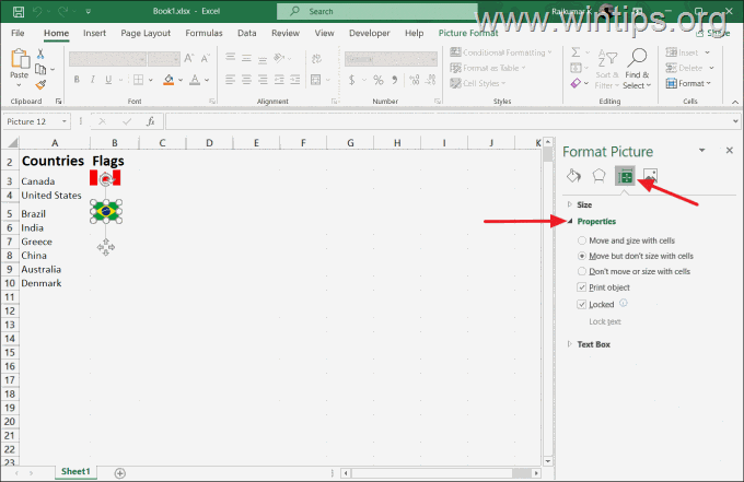 Lock Image in Excel Cell