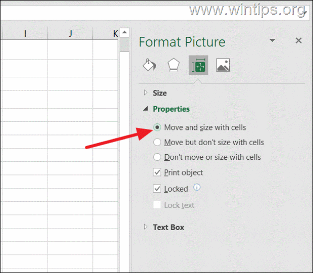 Lock Picture in Excel Cell