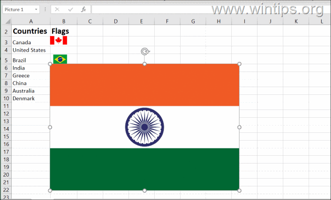 Insert Image to Excel using Copy-Paste
