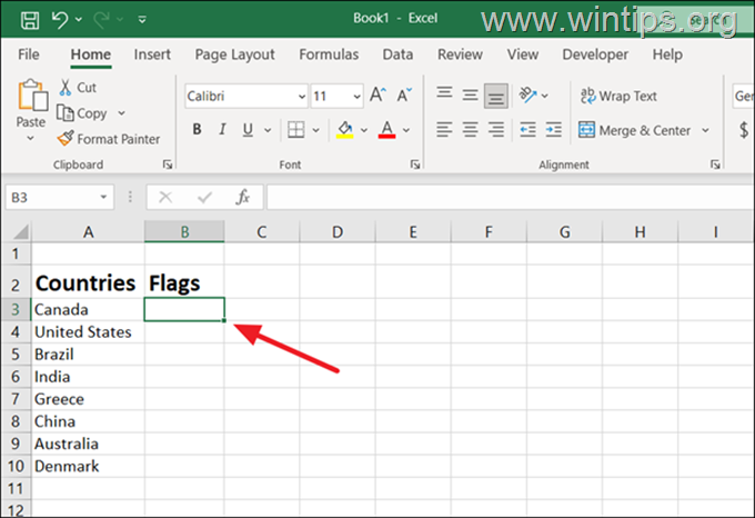 How to Insert a Pictures or Images in Excel.
