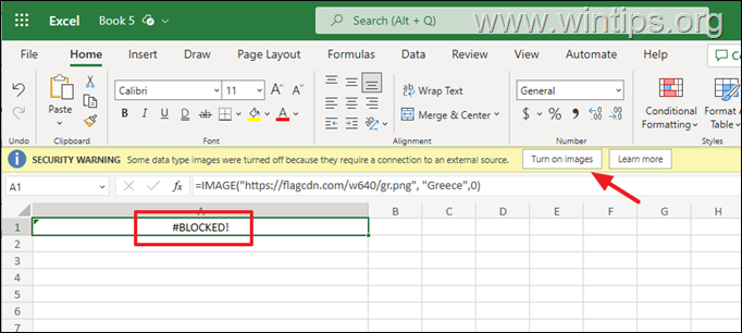 How Import Picture in Excel with IMAGE function.
