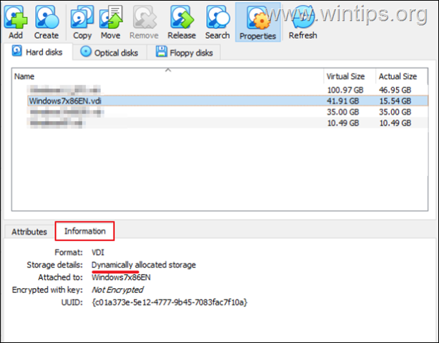 Virtual Disk Storage Details
