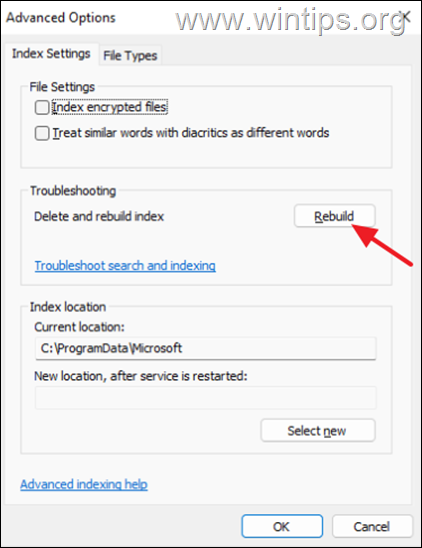 rebuild index database windows 11