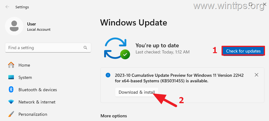 How to Install Windows 11 23H2 Before Others (Official Methods)