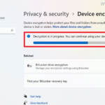 How to Disable Device Encryption in Windows 11.