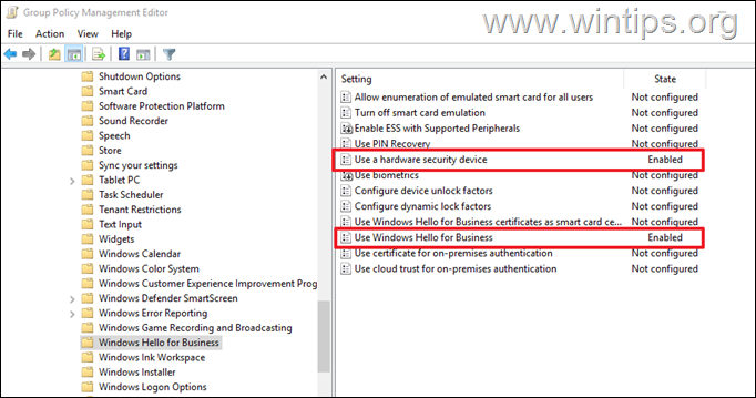 How to Set Up Windows Hello for Business in Local Active Directory Domain.
