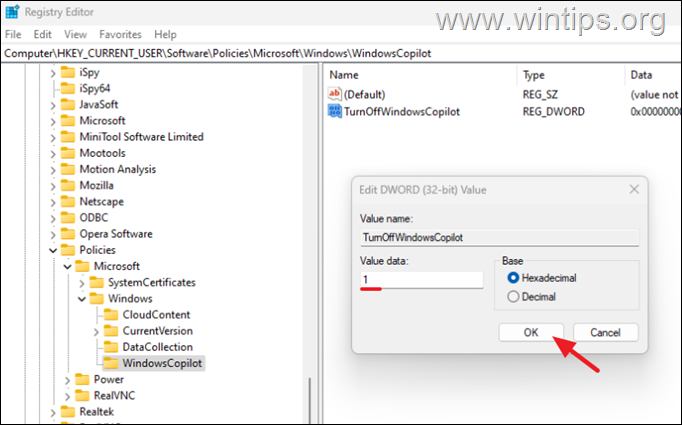 Disable Copilot Registry