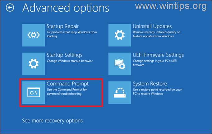 WinRE Command Prompt