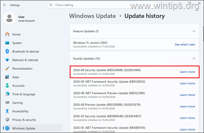 Windows 11 KB5124008 Causes No Sound or USB Audio Code 10