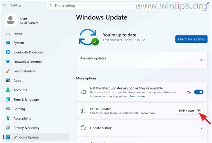 Pause updates
