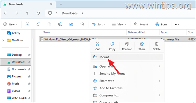 Install Windows 11 26H2 from the ISO file.